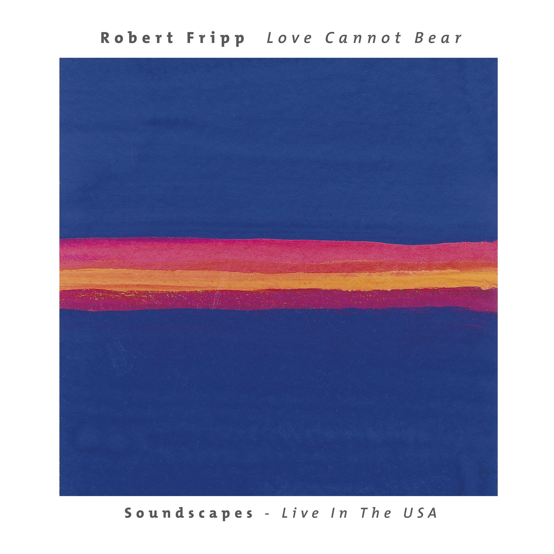 Album cover of Love Cannot Bear: Soundscapes (Live In The USA)