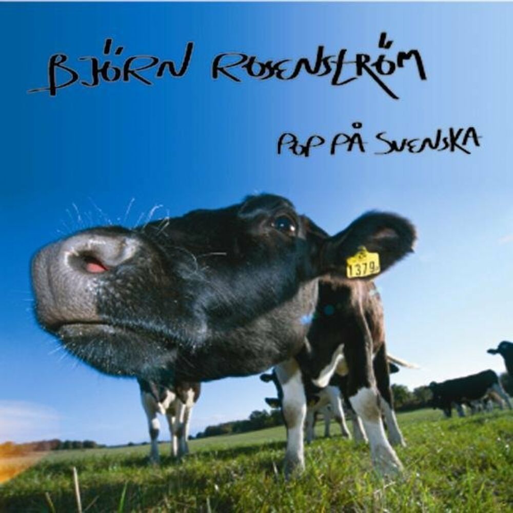 Picture of Pop på svenska