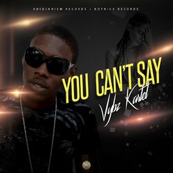 Cover of You Can't Say
