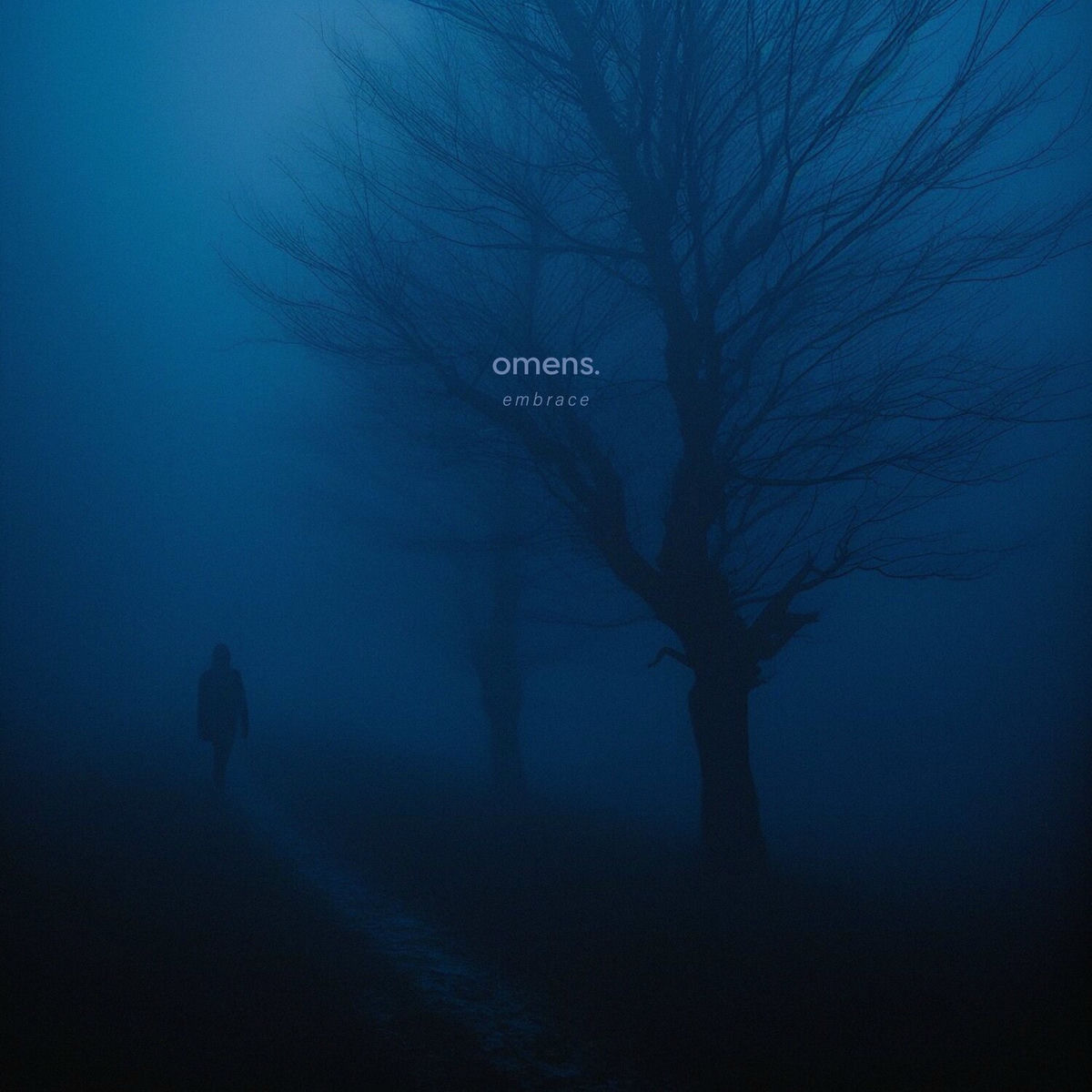 Album cover of embrace