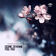 Feel You (Radio Edit)