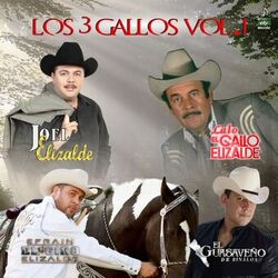 LOS TRES GALLOS VOL. 1