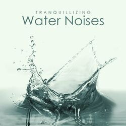 Cover of Tranquillizing Water Noises