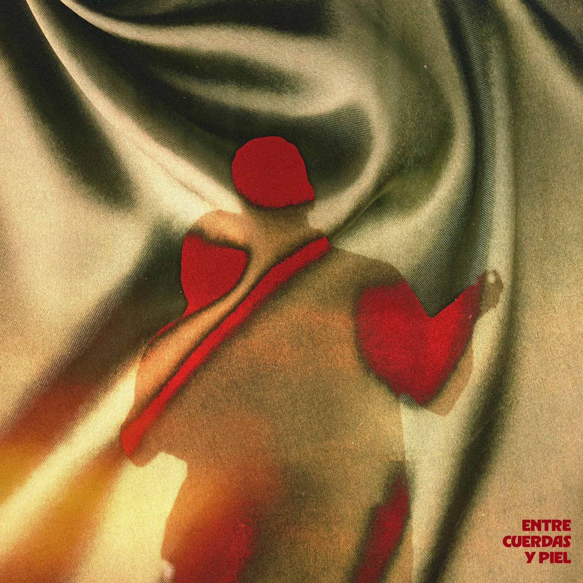 Album cover of Entre Cuerdas y Piel