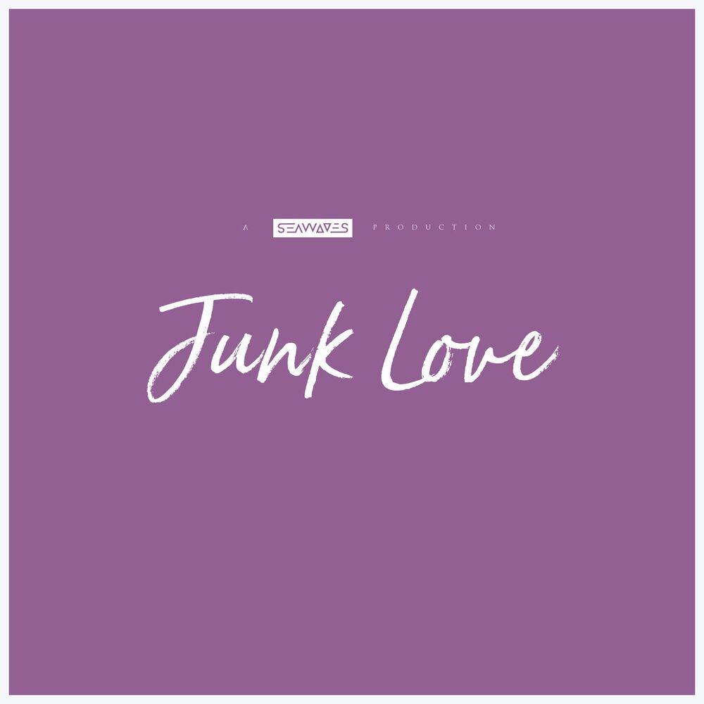 Picture of Junk Love
