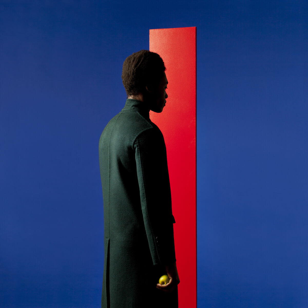 Album cover of Nemesis
