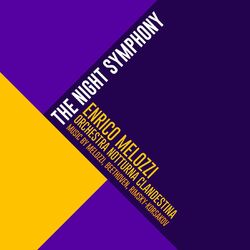 Cover of The Night Symphony