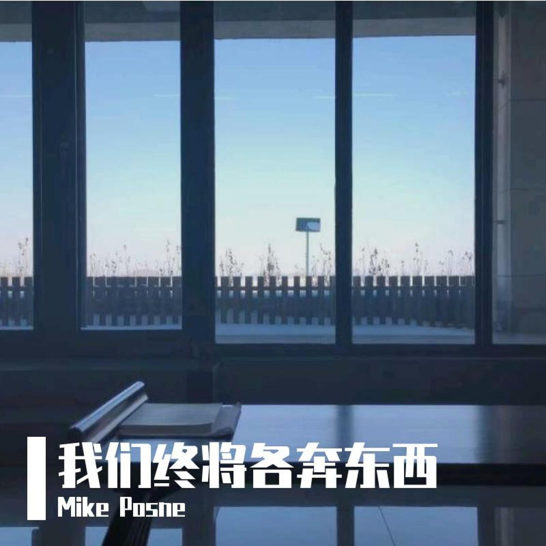 Album cover of 我们终将各奔东西