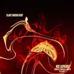 Cover of Dejarte marchar remix (feat. AlenGC)
