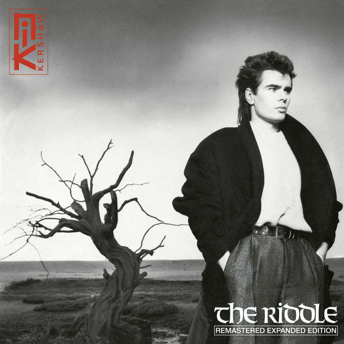 Album cover of The Riddle