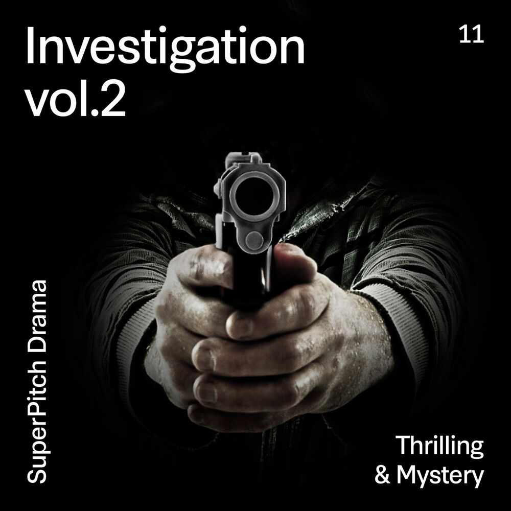 Picture of Investigation, Vol. 2 (Thrilling & Mystery)