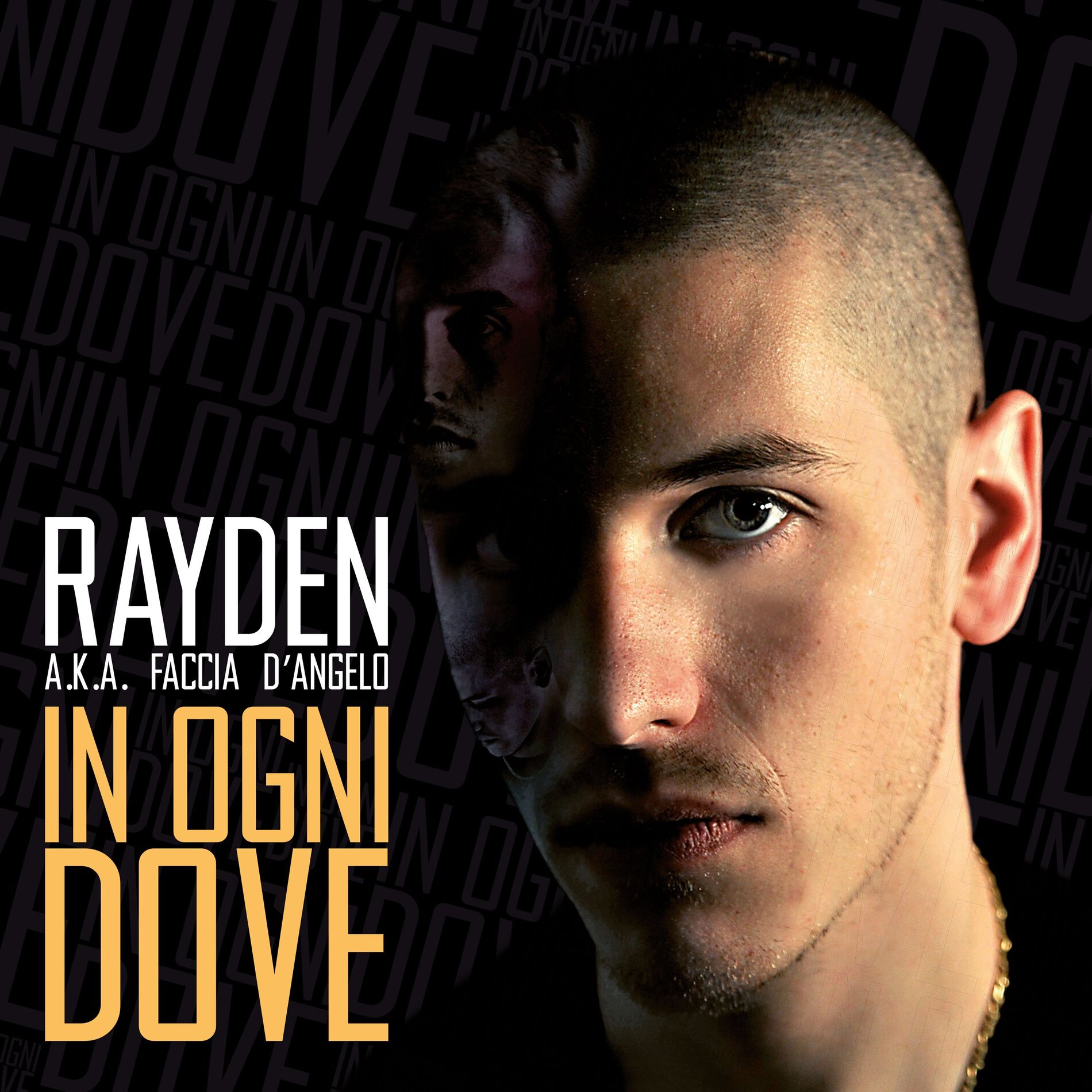 Album cover of In ogni dove