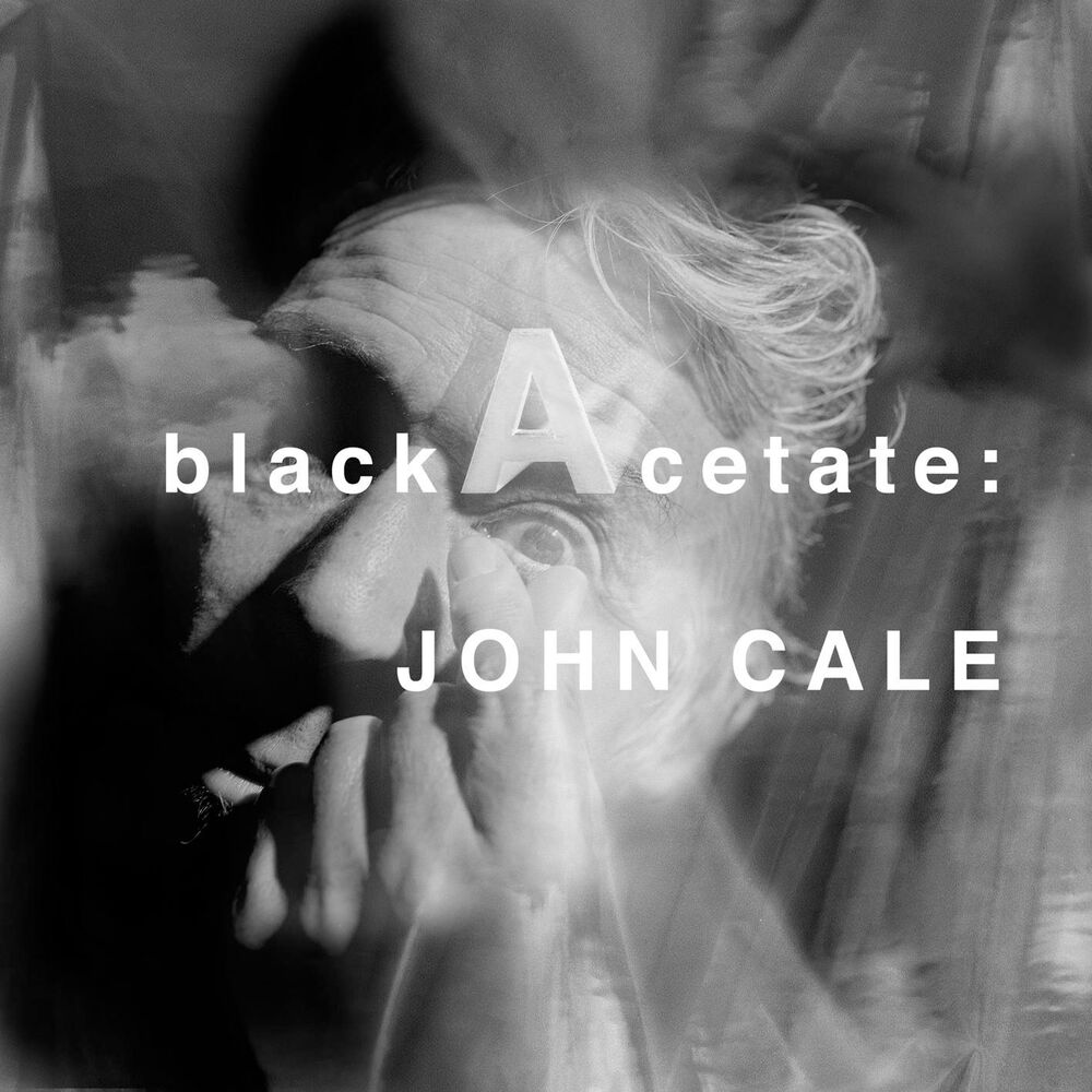 Picture of Black Acetate