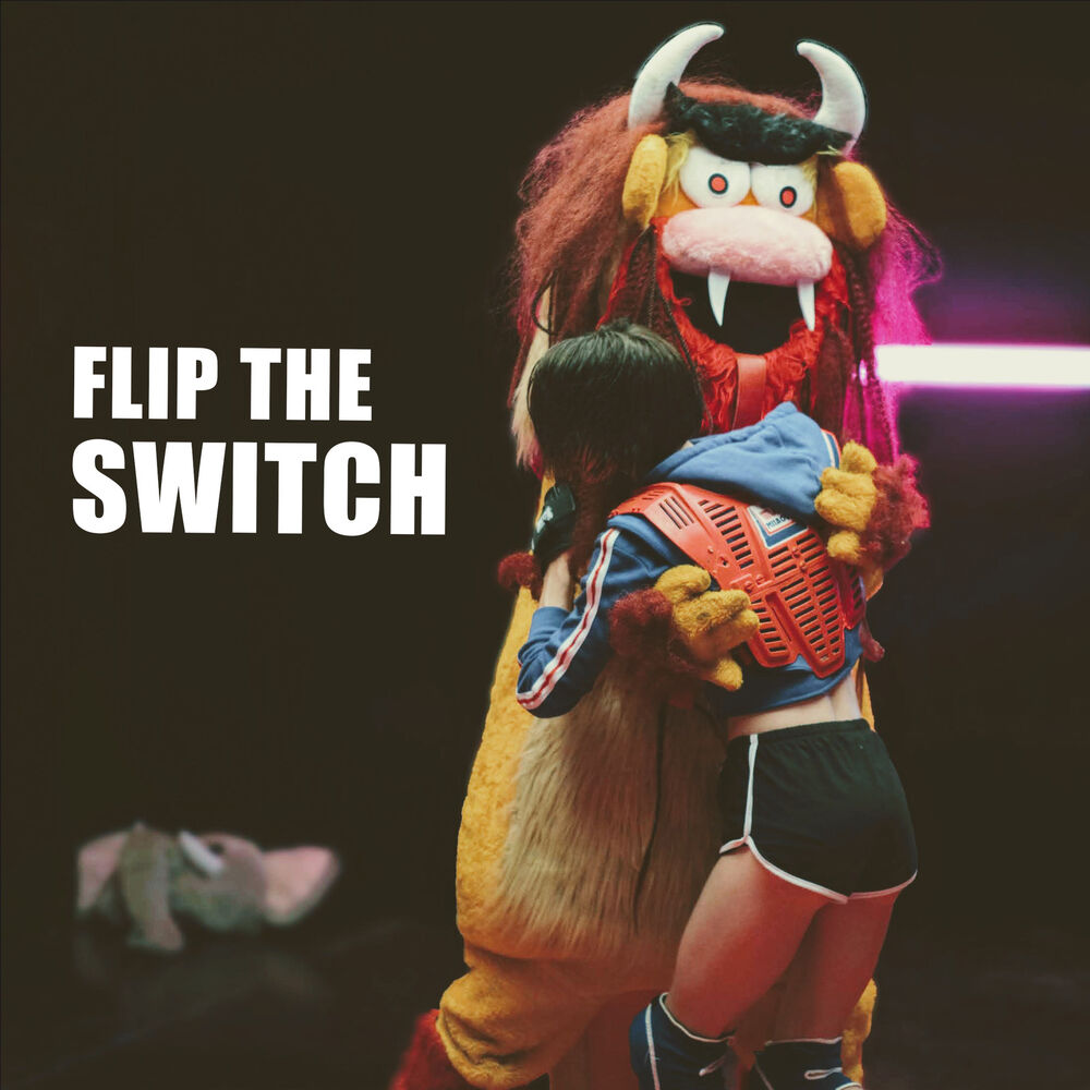 Picture of Flip the Switch
