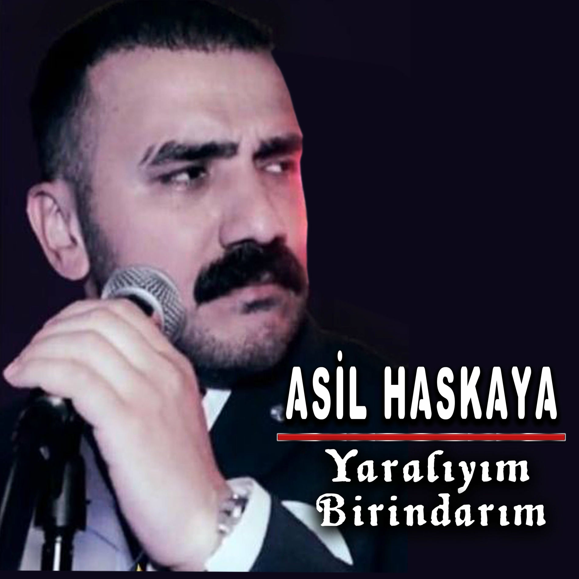 Album cover of Yaralıyım / Birindarım