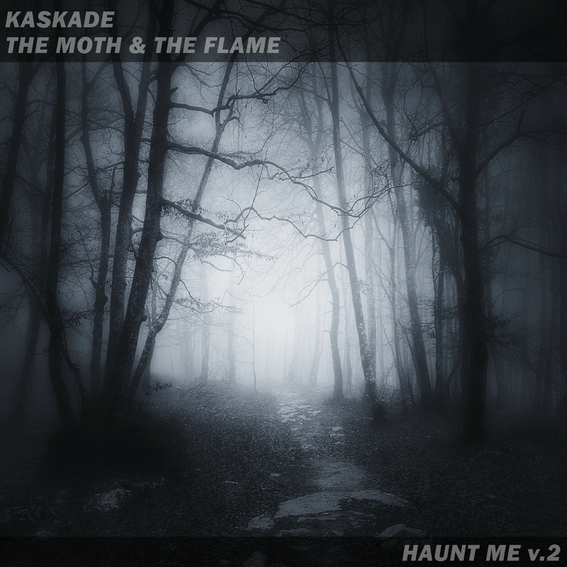 Album cover of Haunt Me V.2