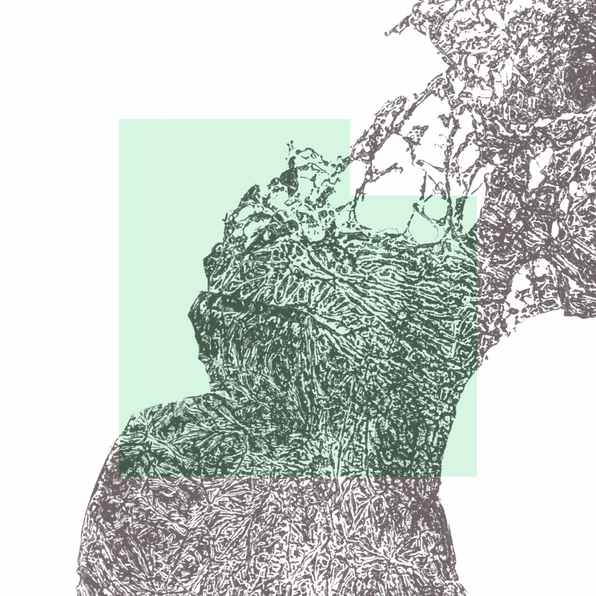 Album cover of Peace Fragments