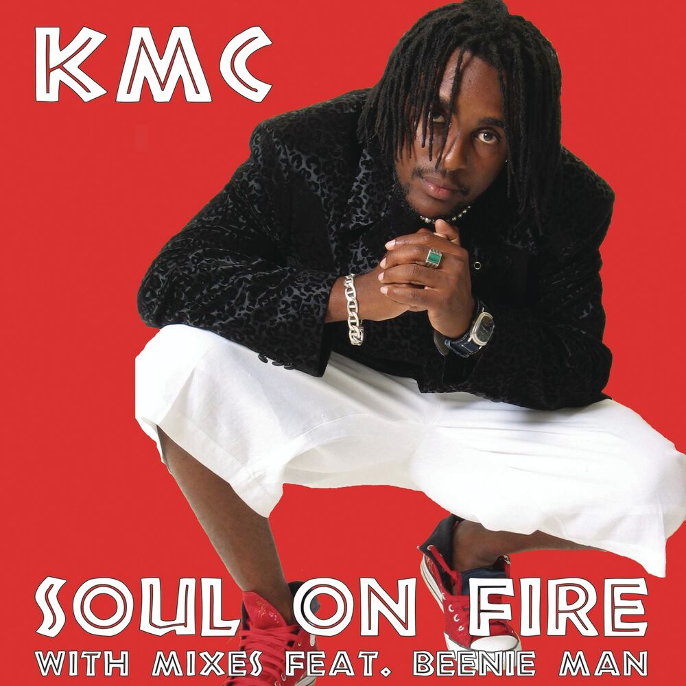 Picture of Soul On Fire (feat. Beenie Man)