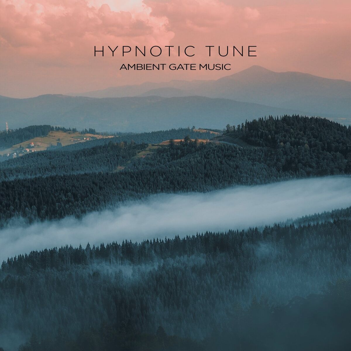 Album cover of A Night Without You
