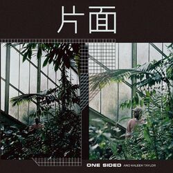 Cover of One Sided