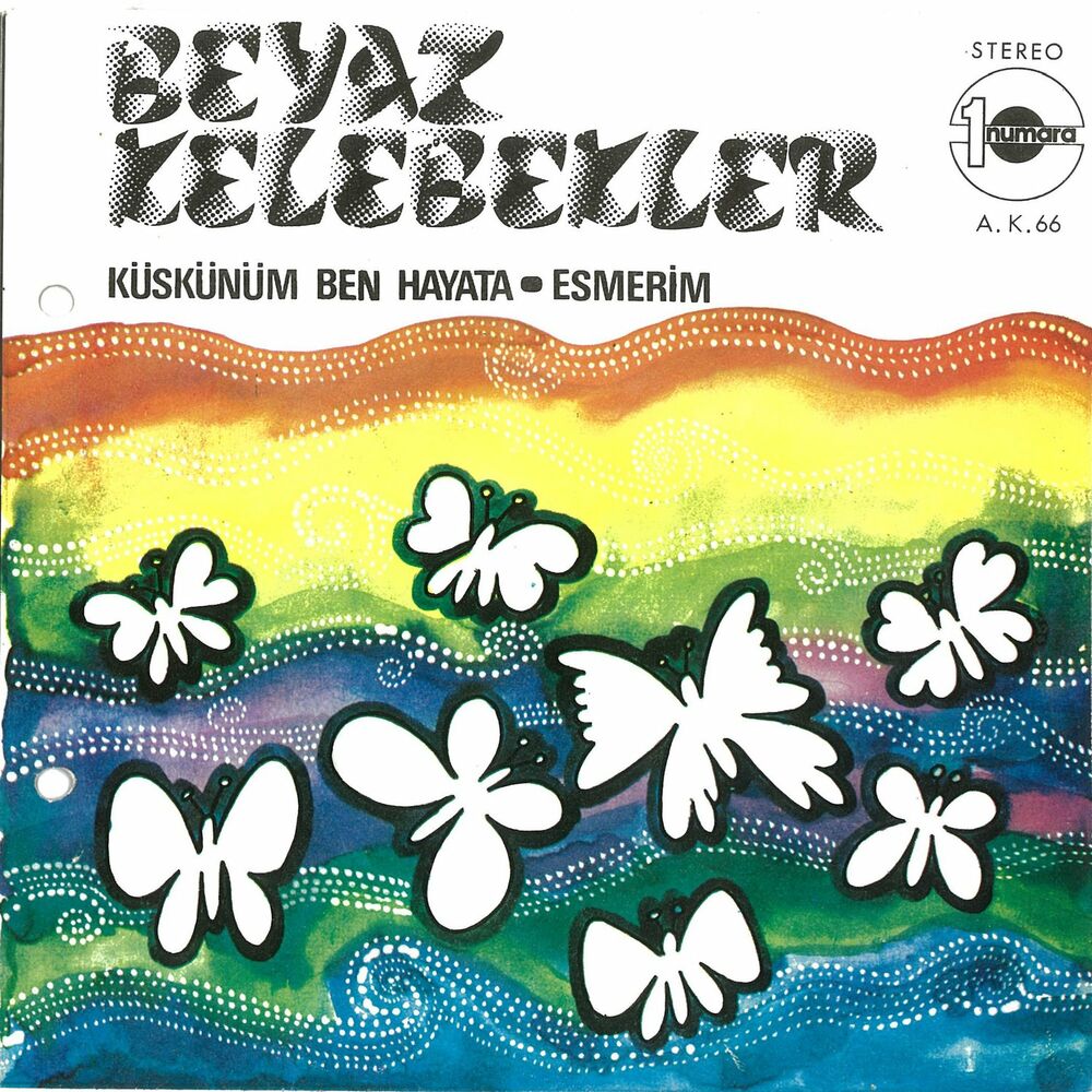 Picture of Küskünüm Ben Hayata / Esmerim