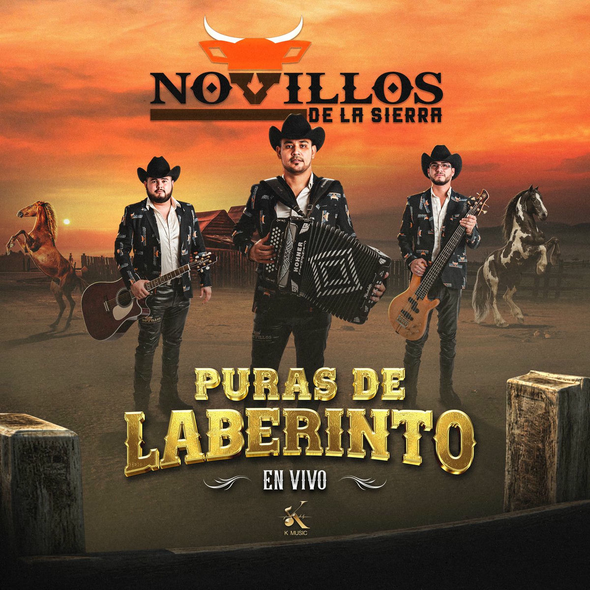Album cover of Puras de Laberinto (En Vivo)