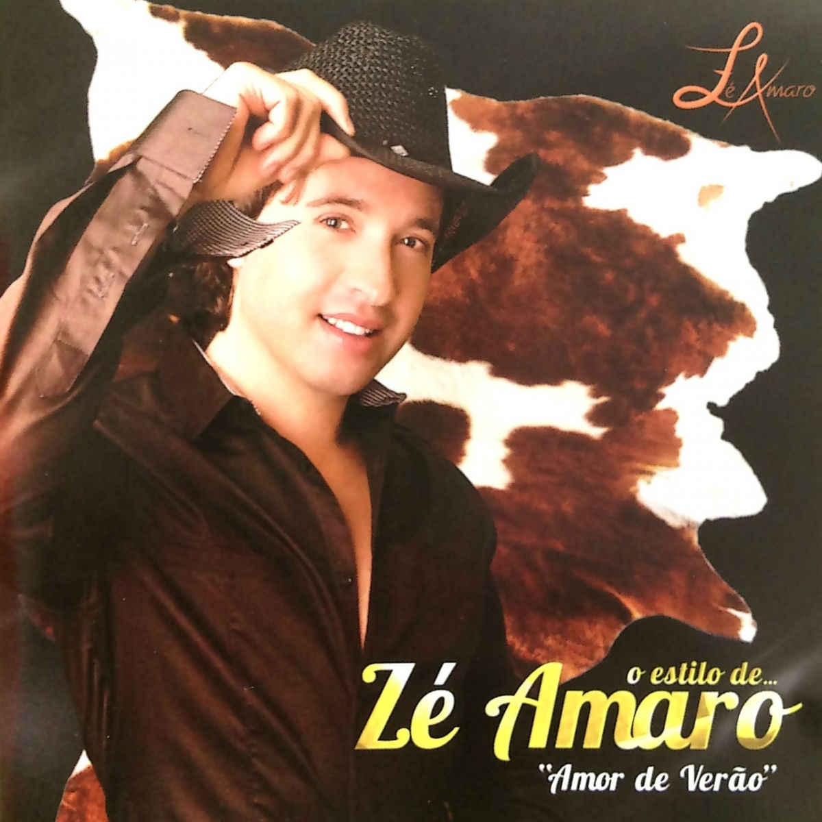 Album cover of Amor de Verão