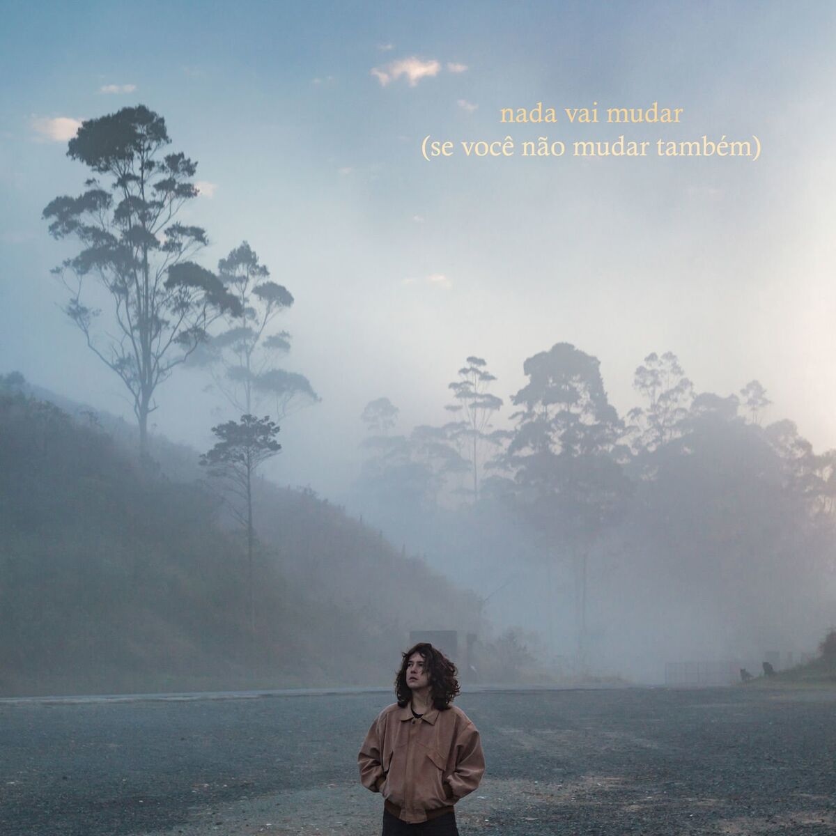 Album cover of Nada Vai Mudar (Se Você Não Mudar Também)