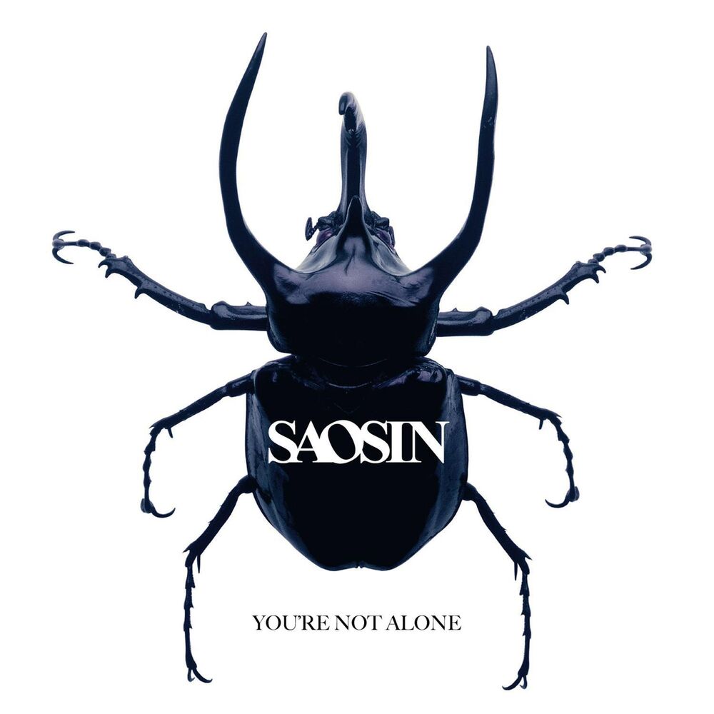 Picture of You're Not Alone