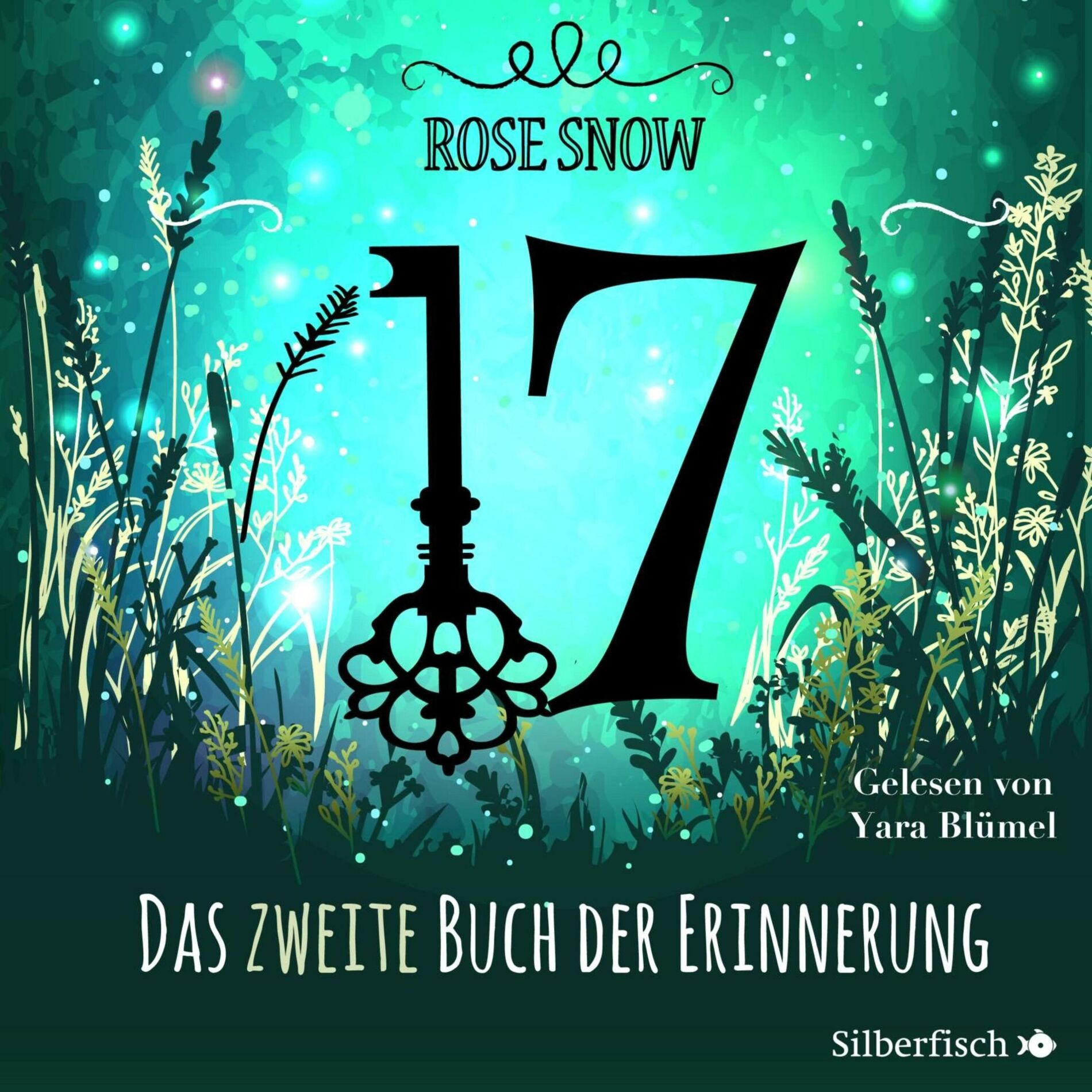Album cover of 17 2: Das zweite Buch der Erinnerung