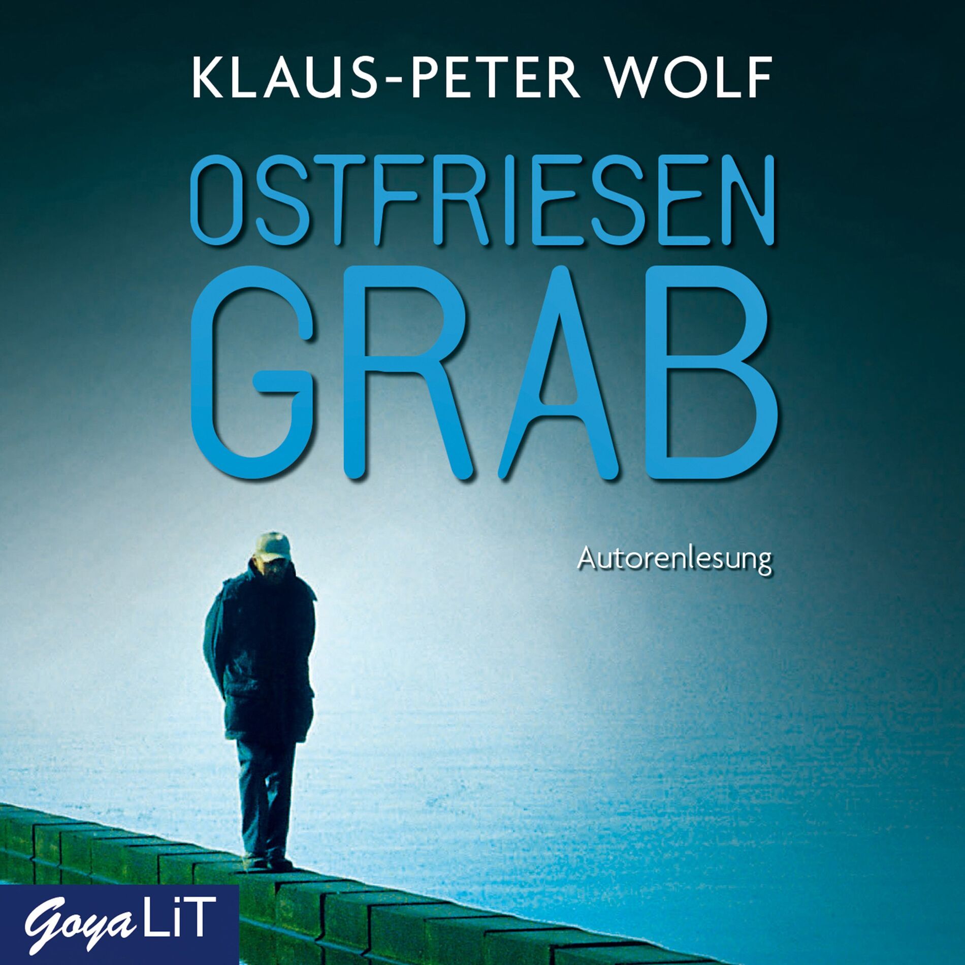 Album cover of Ostfriesengrab [Ostfriesenkrimis, Band 3]