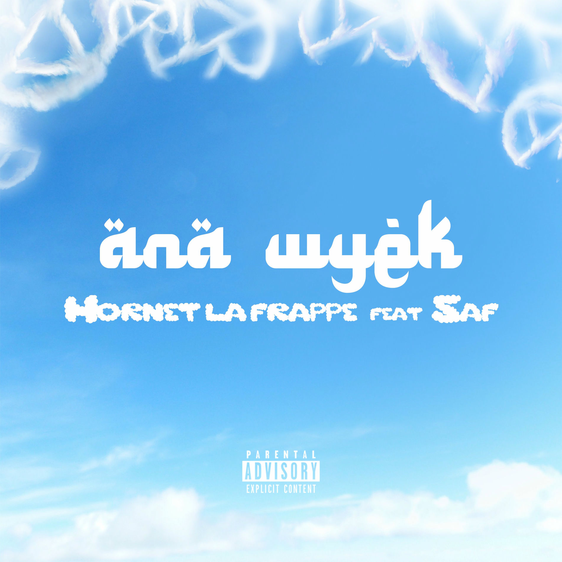 Album cover of ANA WYEK