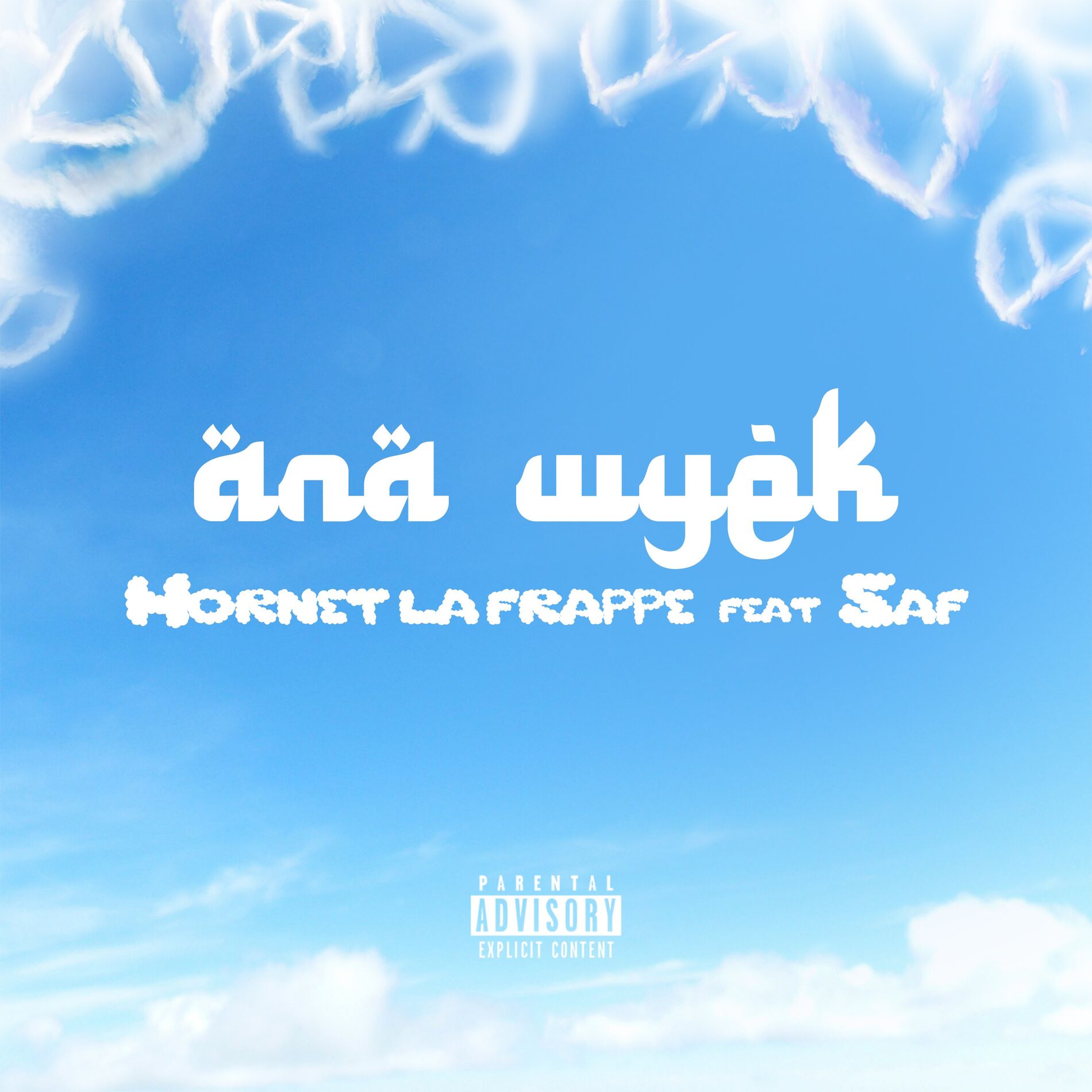 Album cover of ANA WYEK