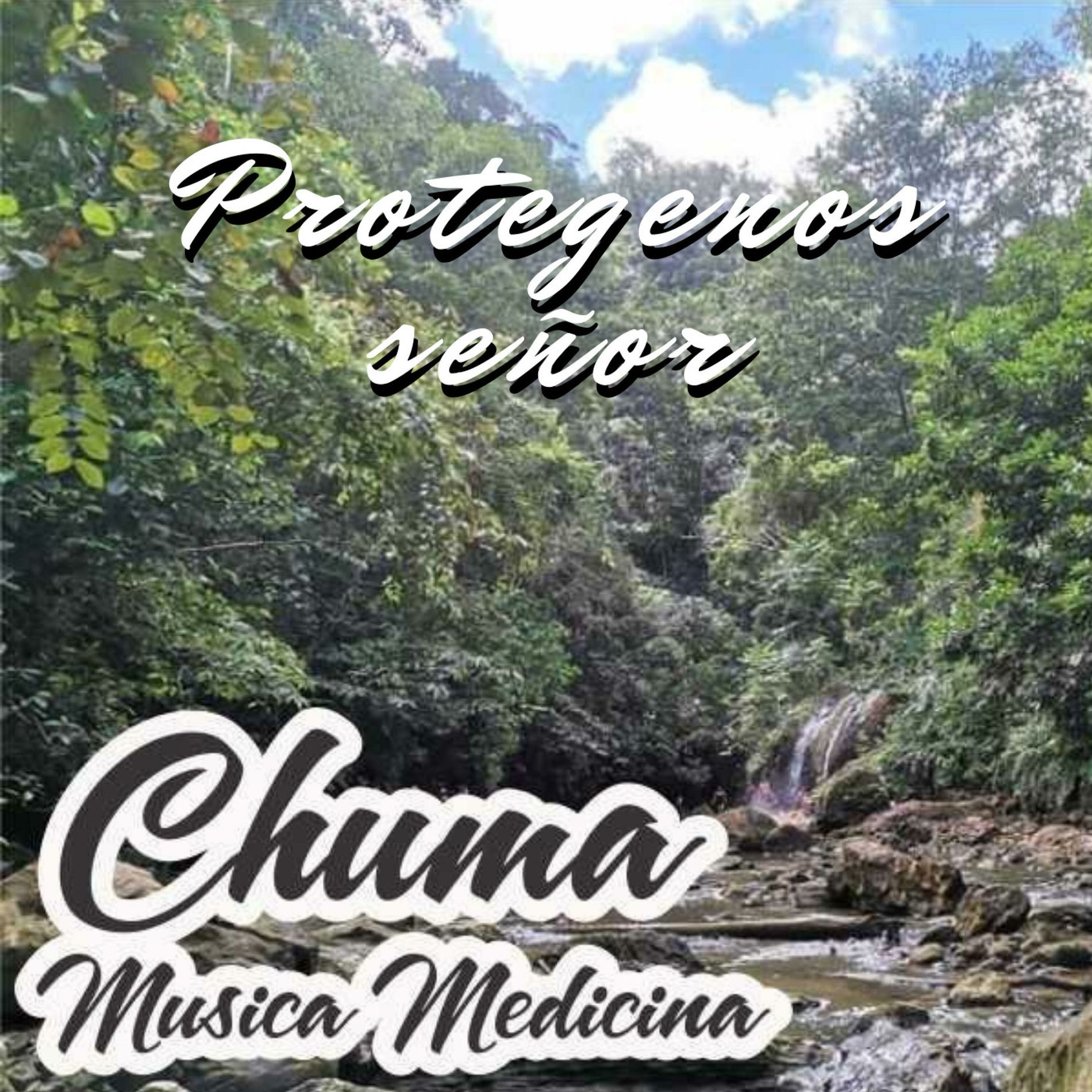 Album cover of Protegenos Señor
