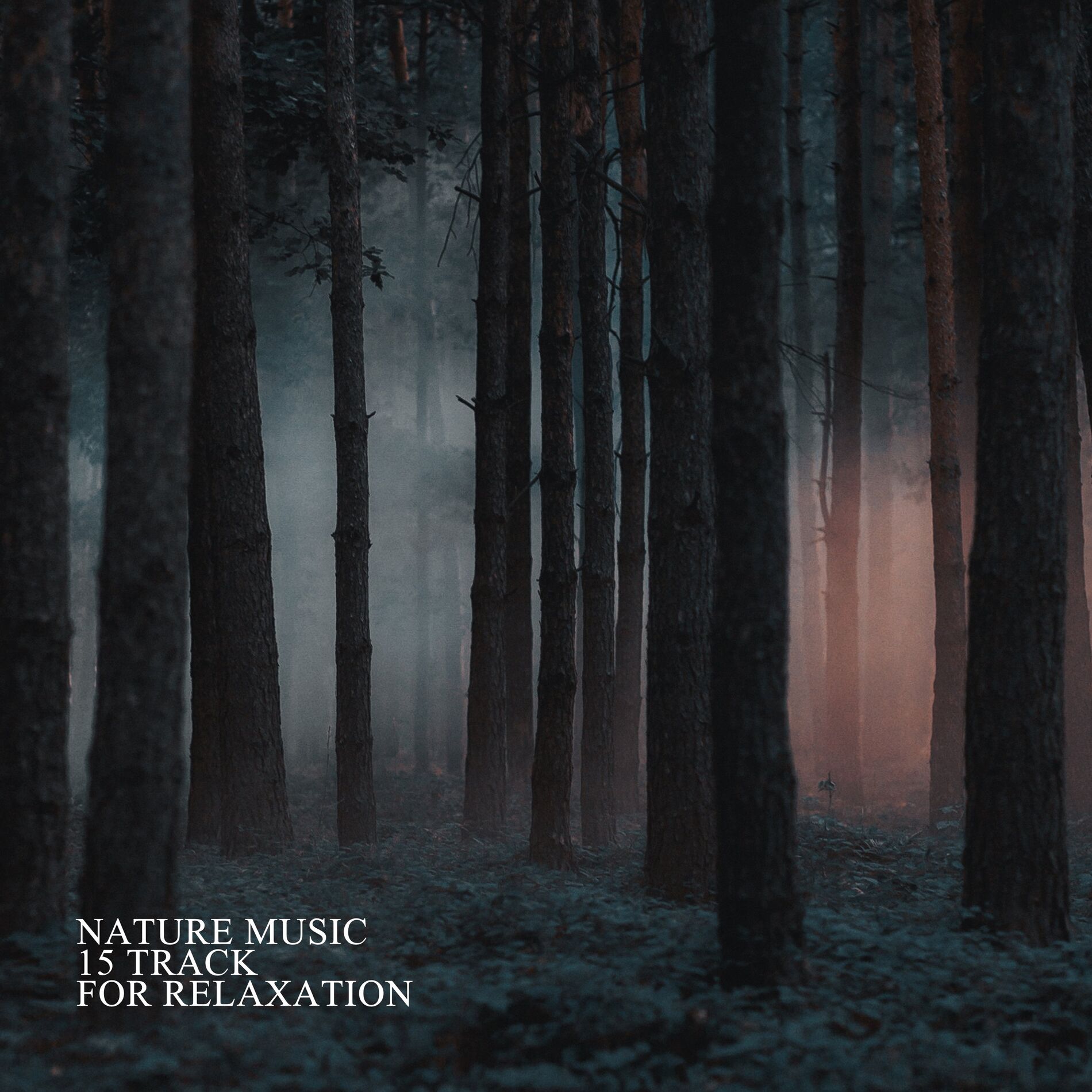 Album cover of Nature Music: 15 Track for Relaxation, Meditation and Stress Relief