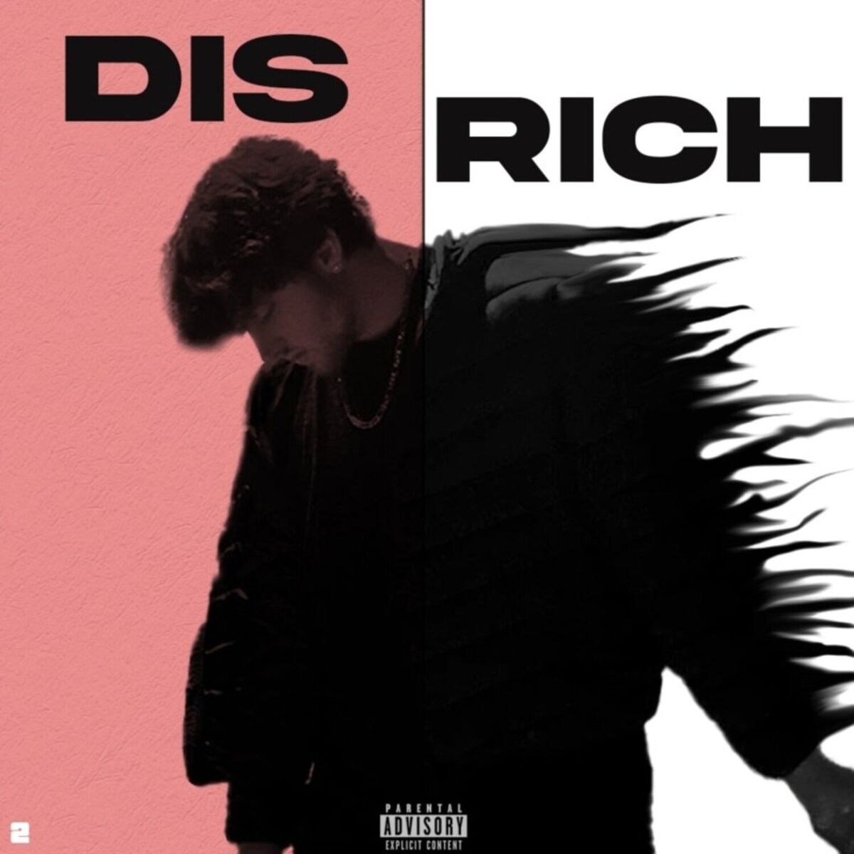 Album cover of DIS RICH