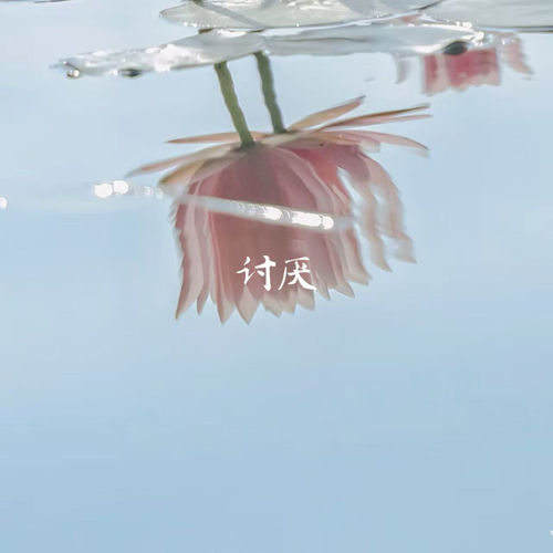 讨厌