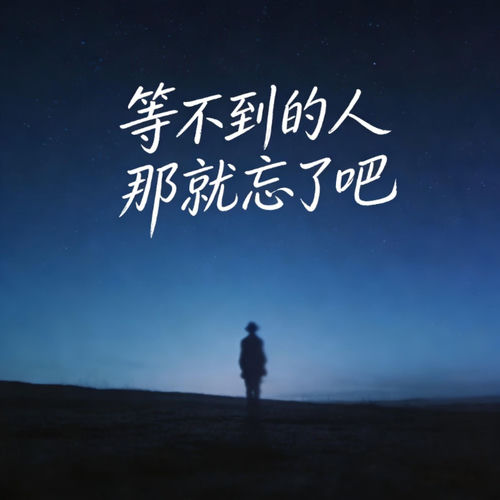 等不到的人那就忘了吧