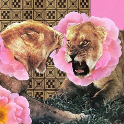 Cover of Behind the House (Remix)