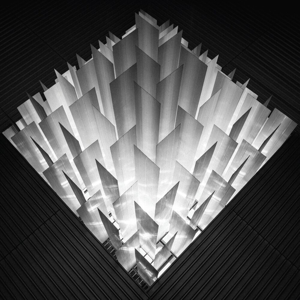 Picture of Fossils (Visionist Remix)