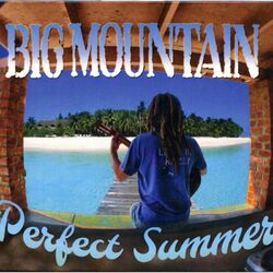 Cover of Perfect Summer