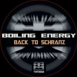 Cover of Back to Schranz