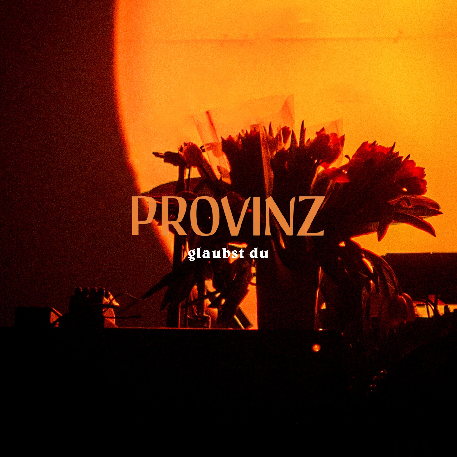 Album cover of glaubst du
