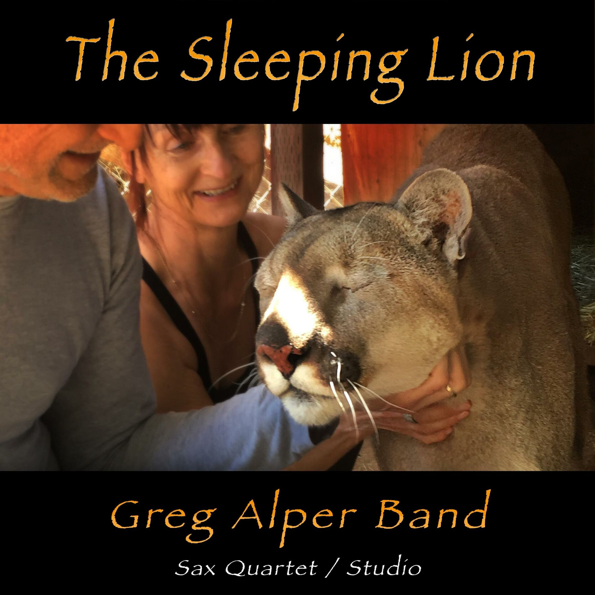 Album cover of The Sleeping Lion