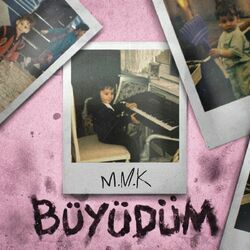 Cover of Büyüdüm