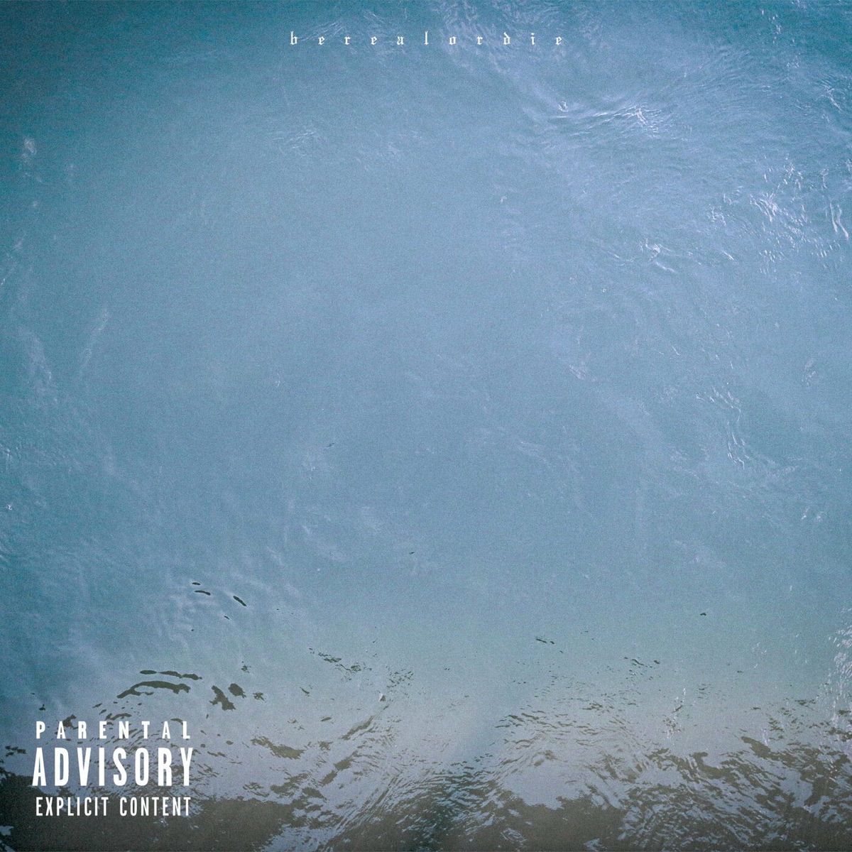 Album cover of Rhein