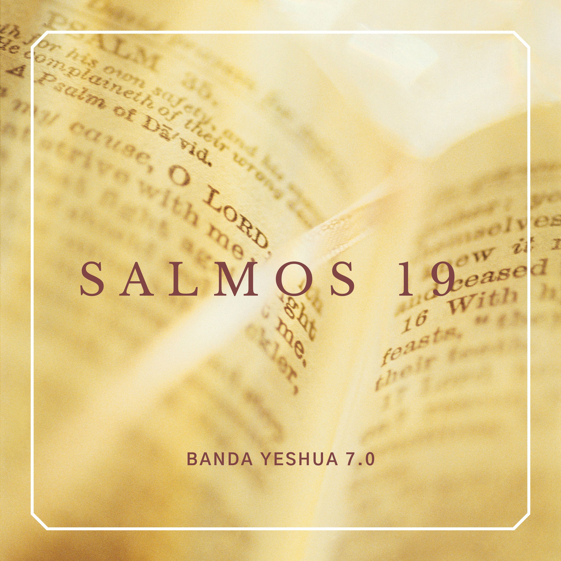 Album cover of Salmos 19