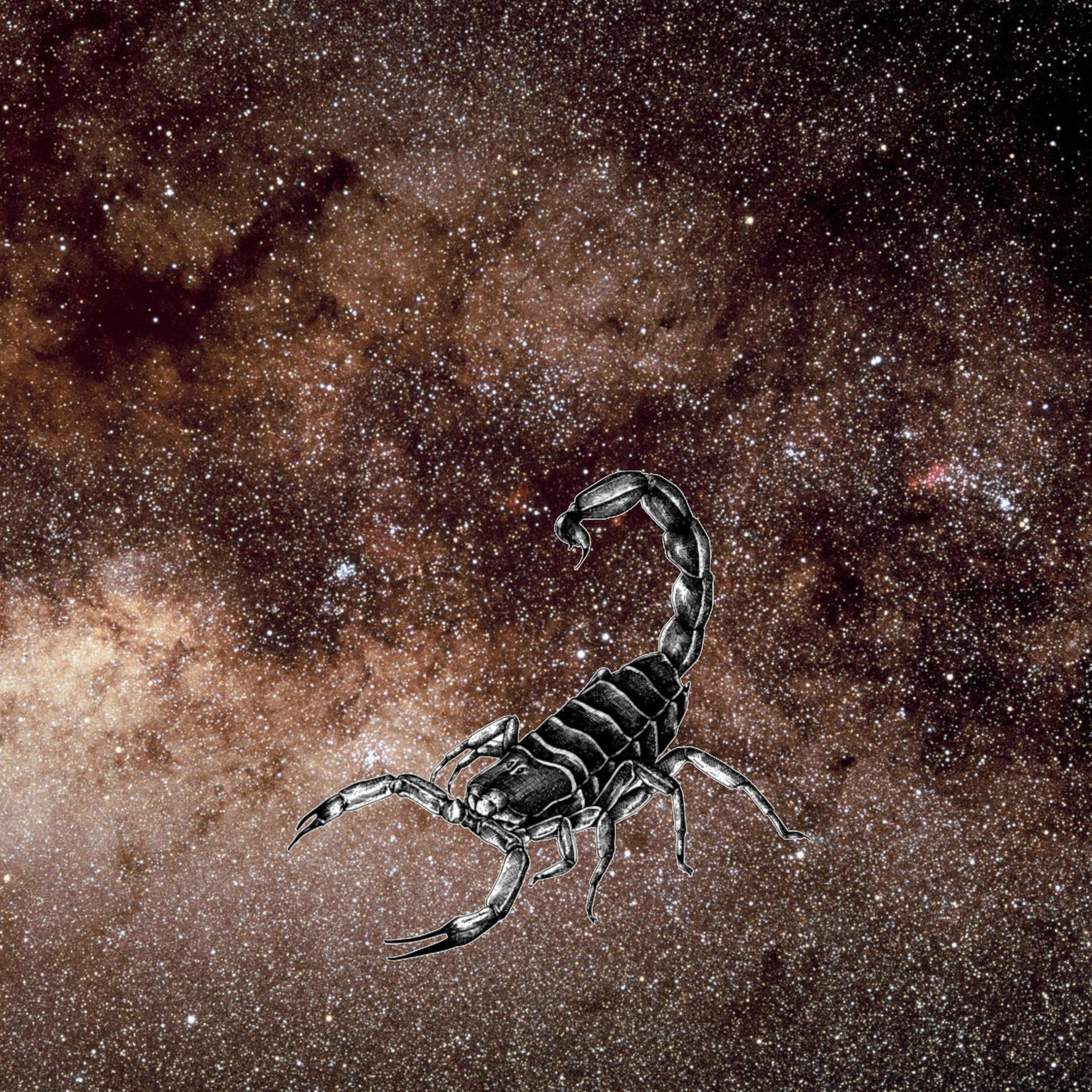 Album cover of Escorpión (feat. Kutu)