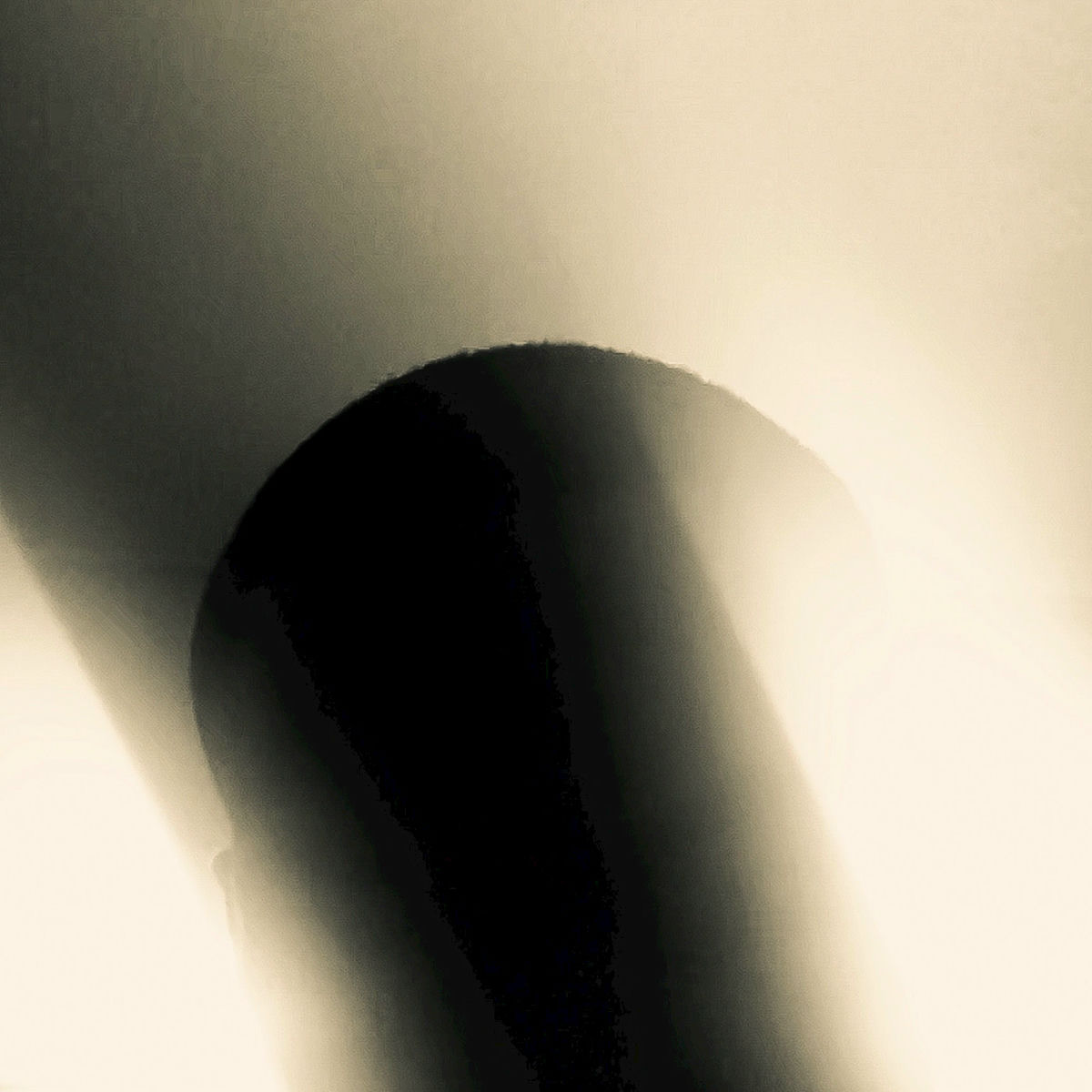 Album cover of Scattle