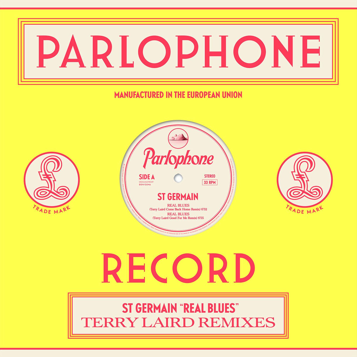 Album cover of Real Blues (Terry Laird Remixes)